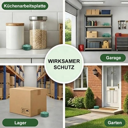 🌿Natürliche Pfefferminz-Kugeln gegen Mäuse & Insekten – Effektiv & Chemiefrei