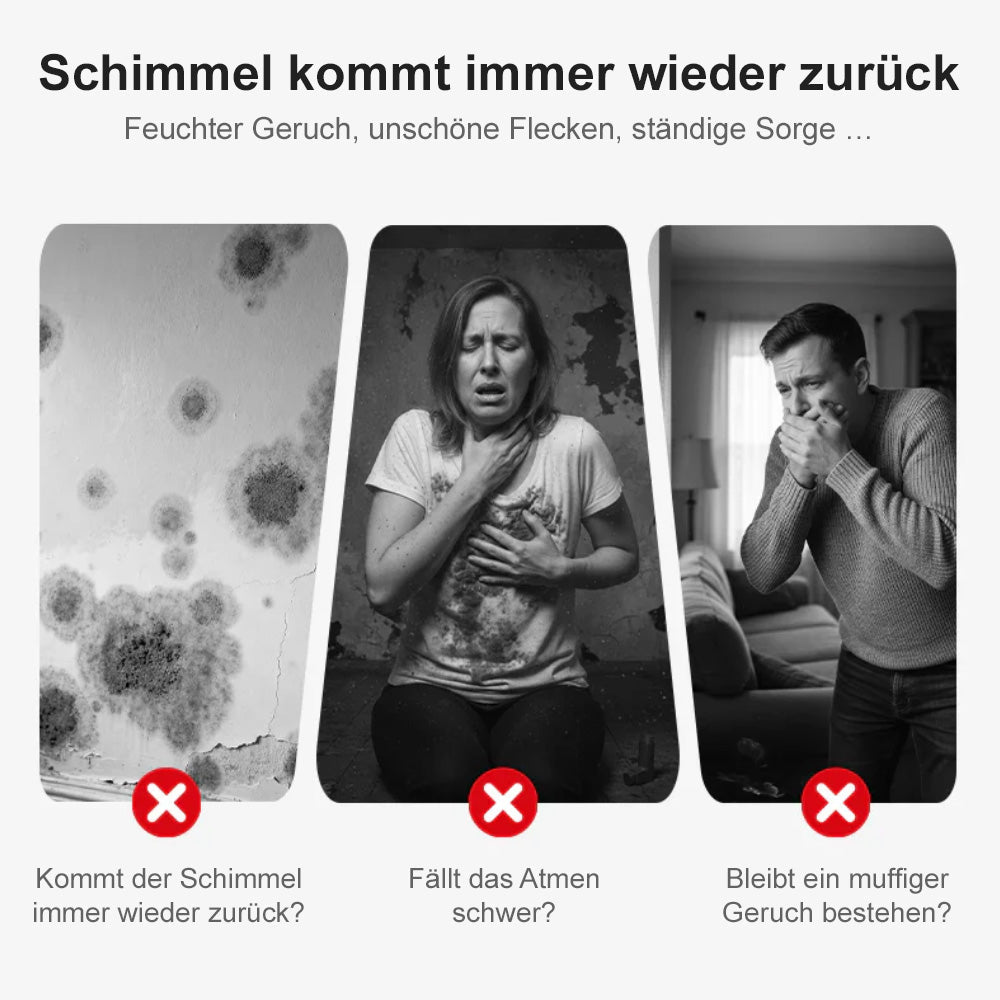 🔥Hochwirksames Schimmelspray – verhindert Schimmelneubildung🛡️Schützen Sie Ihre und die Gesundheit Ihrer Familie 🏠
