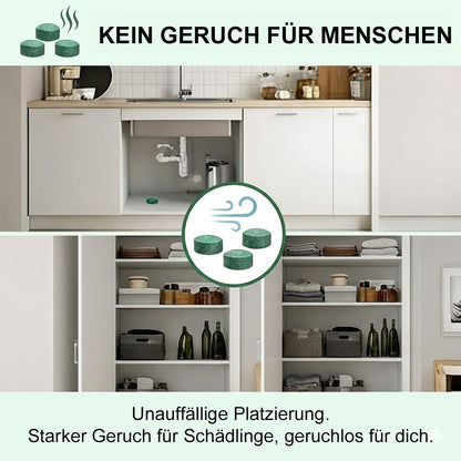 🌿Natürliche Pfefferminz-Kugeln gegen Mäuse & Insekten – Effektiv & Chemiefrei